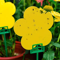 12pcs Outdoor Fruit Fly Traps Butterfly Sticky Paper Adhesive