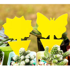 12pcs Armyworm Yellow Insect Trapping Board Solar Butterfly shaped