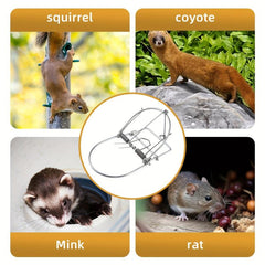 Reusable Metal Mouse Clip Safe And Reliable Trigger Type Mouse Trap