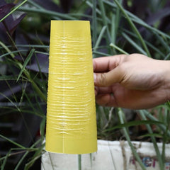 Fruit Fly & Slime Traps - Set of 50 - Home Garden Farm Insect