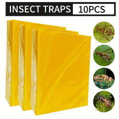 Fruit Fly & Slime Traps - Set of 50 - Home Garden Farm Insect