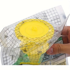 Disposable Fruit Fly Trap Non-toxic Fly Catcher Outdoor Insect Trap