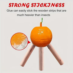 6pcs Fruit Fly Traps Sticky Traps Mosquito Traps Indoor Outdoor