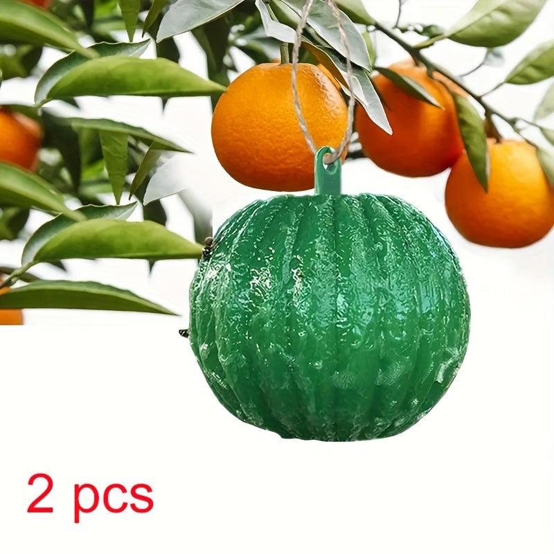 6pcs Fruit Fly Traps Sticky Traps Mosquito Traps Indoor Outdoor