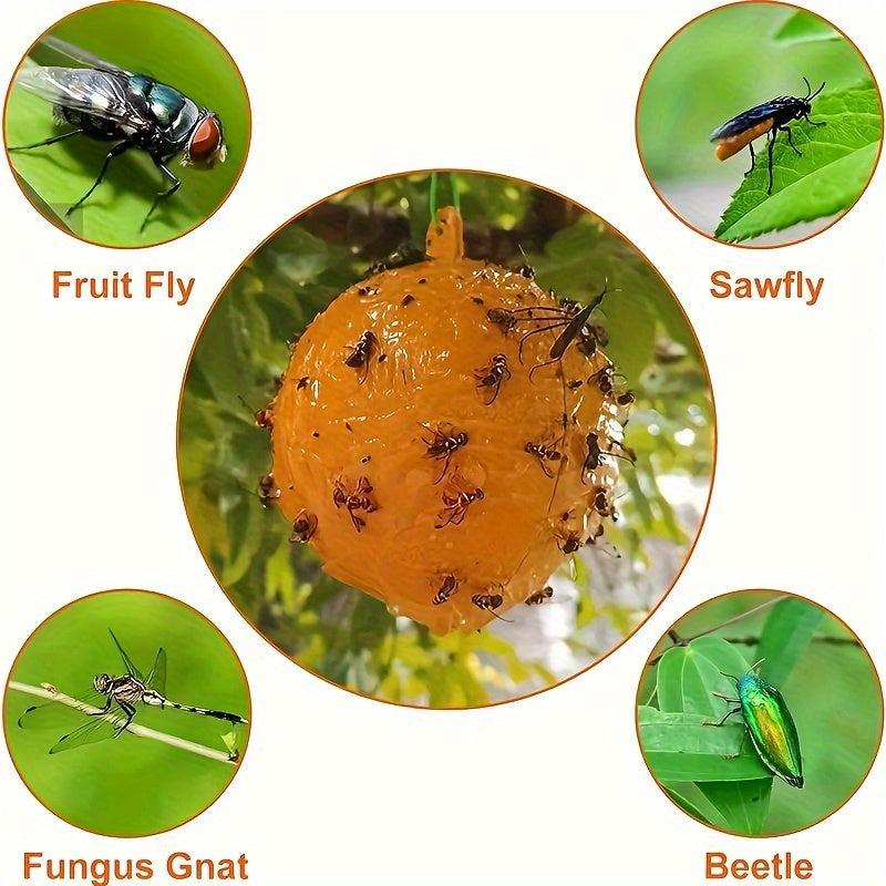 6pcs Fruit Fly Traps Sticky Traps Mosquito Traps Indoor Outdoor