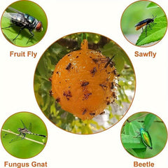 6pcs Fruit Fly Traps Sticky Traps Mosquito Traps Indoor Outdoor