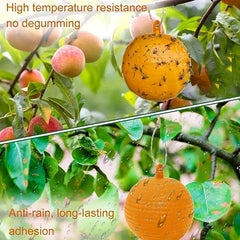 6pcs Fruit Fly Traps Sticky Traps Mosquito Traps Indoor Outdoor