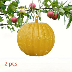 6pcs Fruit Fly Traps Sticky Traps Mosquito Traps Indoor Outdoor