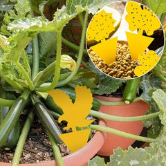 10pcs Garden Double sided Sticky Insect Board Flower shaped Sticky Insect Board