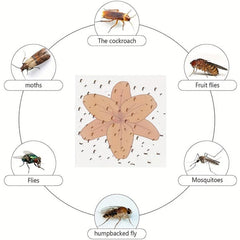 Flower Style Fly Catcher Window Fly Stickers
