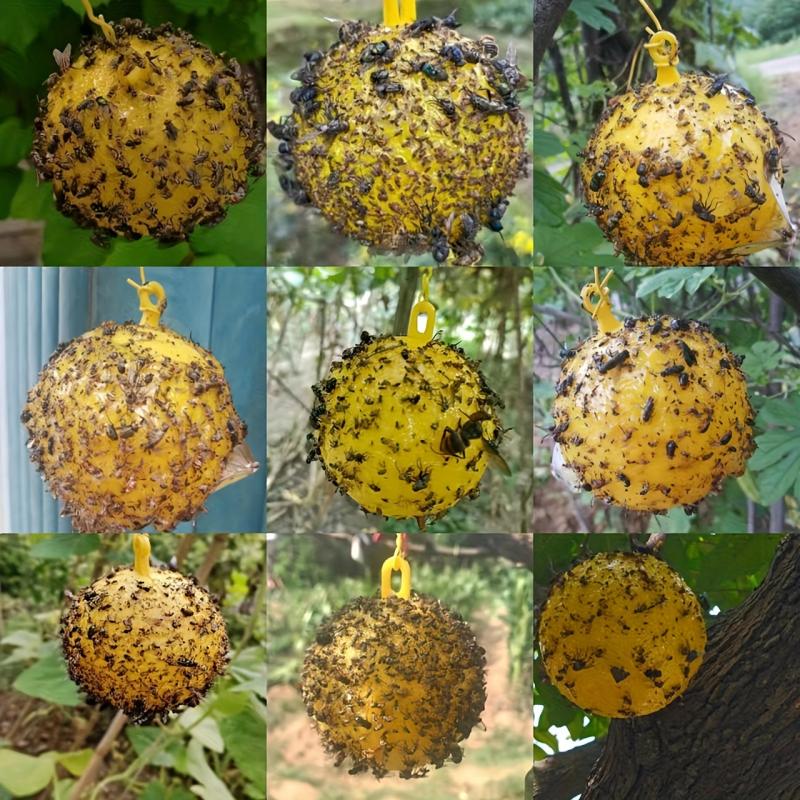 1Pc Hanging Spherical Fly Catcher Fruit Type Non-toxic Fly Catcher