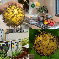 1Pc Hanging Spherical Fly Catcher Fruit Type Non-toxic Fly Catcher