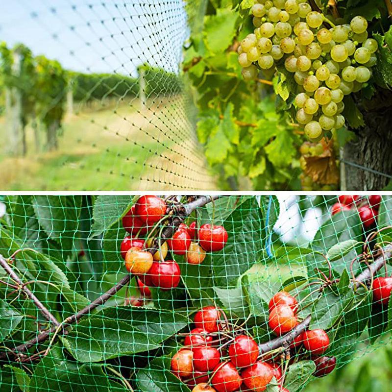 Bird Netting For Garden Plants Barrier Net Protect Fruit Trees Seedlings