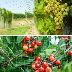 Bird Netting For Garden Plants Barrier Net Protect Fruit Trees Seedlings