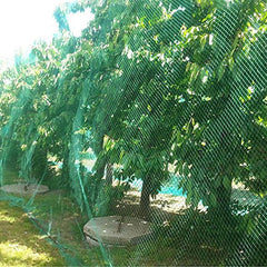 Bird Netting For Garden Plants Barrier Net Protect Fruit Trees Seedlings