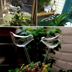 Shapes Houseplant Plant Pot Self Watering Bulbs Automatic Irrigation