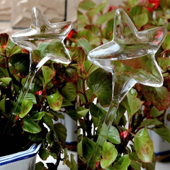 Self-Watering Plant Pots - Grow Healthy Houseplants