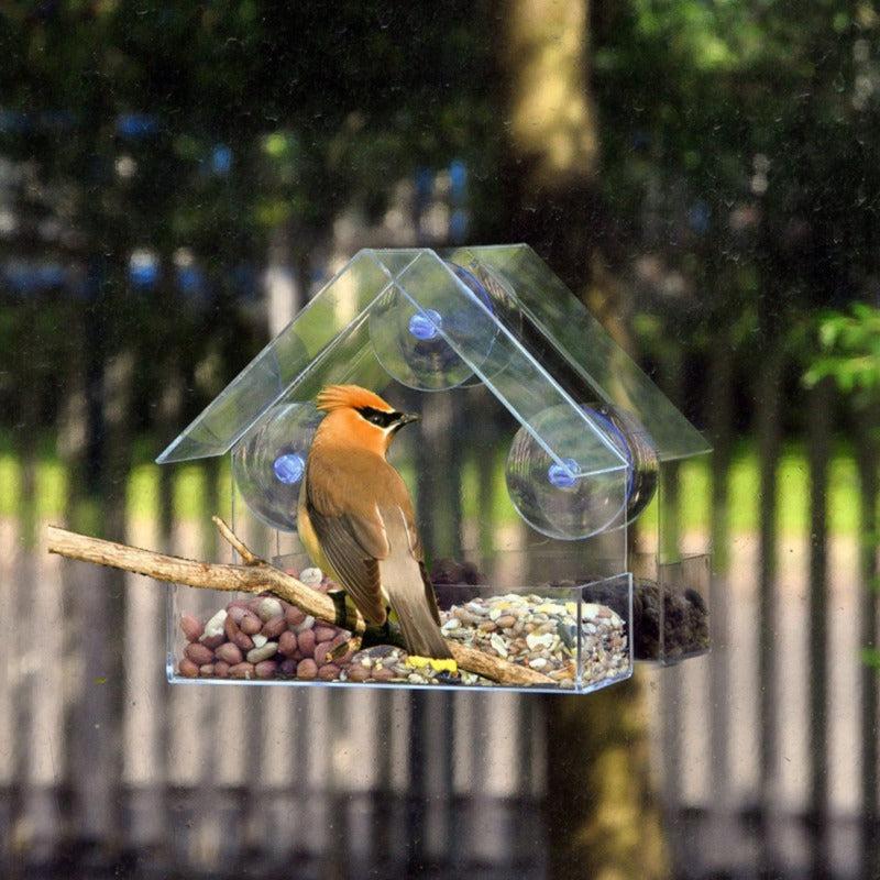 Large Hanging Bird Feeder with Suction Cups and Removable Tray