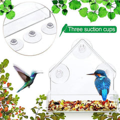 Large Hanging Bird Feeder with Suction Cups and Removable Tray