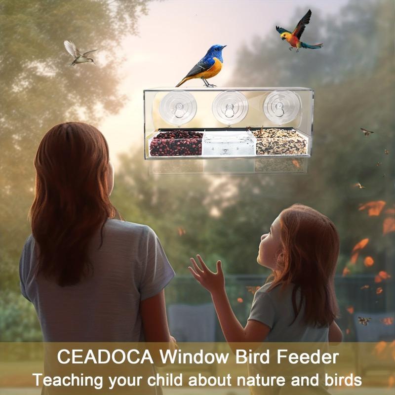 Window Bird Feeder Large House 3 Compartments