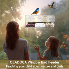 Window Bird Feeder Large House 3 Compartments