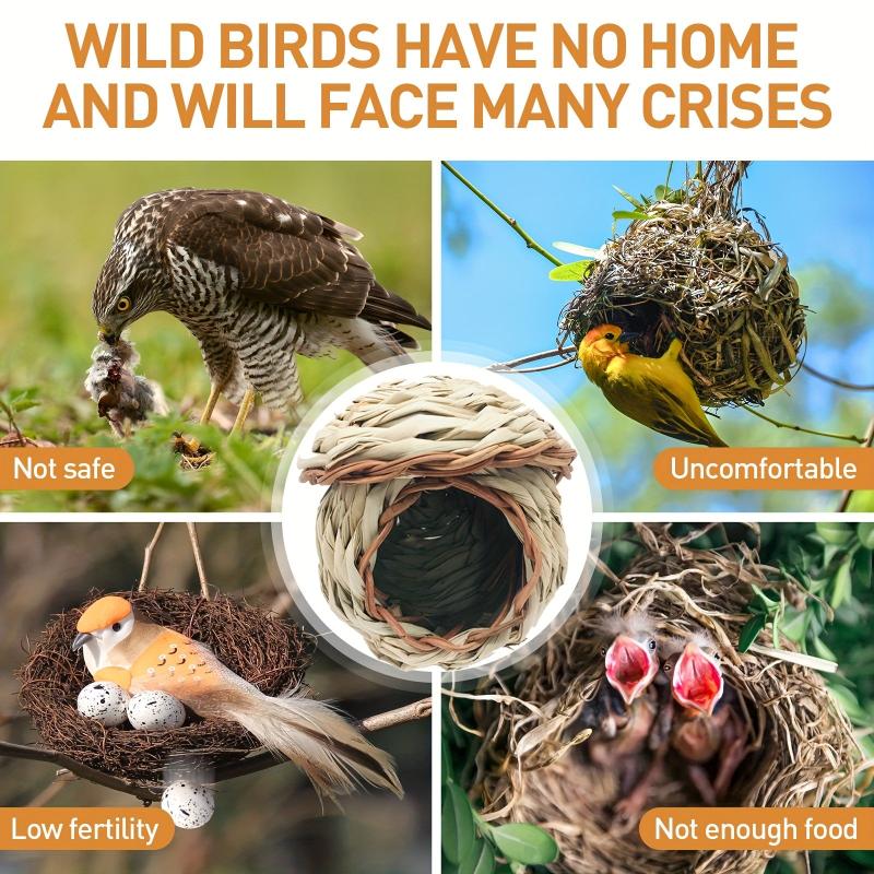 Bird House Bird Feeder Garden Decor Yard Farm Hummingbird Fall Decor