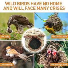 Bird House Bird Feeder Garden Decor Yard Farm Hummingbird Fall Decor