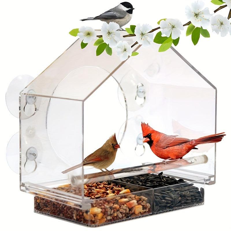 Clear Window Bird Feeder with Suction Cups