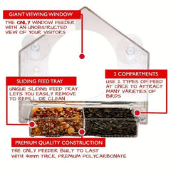 Clear Window Bird Feeder with Suction Cups