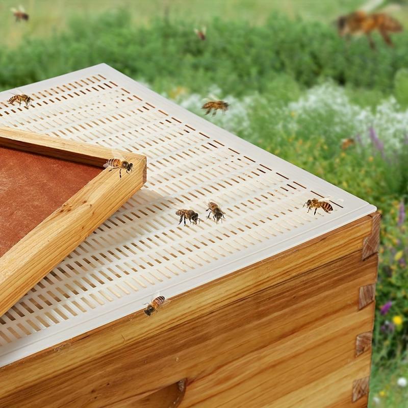 6pcs Beekeeping Tools Separate Queen Bees From Honey