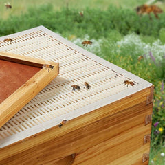 6pcs Beekeeping Tools Separate Queen Bees From Honey