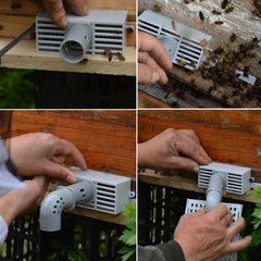 Beekeeping Divide Bee Tool Bee Divider Prevent Escaping Bees Remove Male Bee