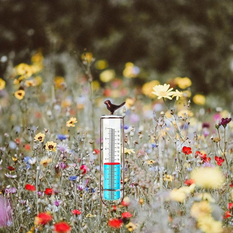 Bird Glass Rain Gauge With Stake And Gasket Metal Frame Outdoor Garden Decor