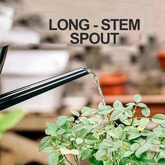 Watering Can For Bonsai Plants Long Spout 1.2L Green