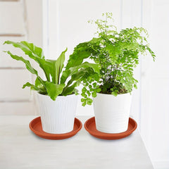 3pcs Terracotta Plant Saucers for Indoor & Outdoor Garden Plants