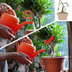 Replacement Plastic Sprinkler Head for Watering Cans