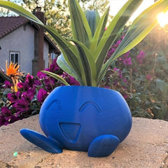 Succulent Flower Pot Plant with Drainage Holes Funny Cactus Planter