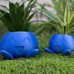 Succulent Flower Pot Plant with Drainage Holes Funny Cactus Planter