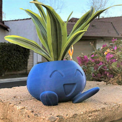 Succulent Flower Pot Plant with Drainage Holes Funny Cactus Planter