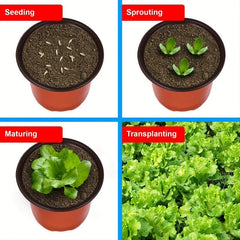 50pcs Plastic Planter Pots for Indoor and Outdoor Plants Lightweight Durable