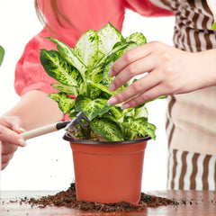 50pcs Plastic Planter Pots for Indoor and Outdoor Plants Lightweight Durable