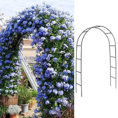 Iron Arch Flower Stand Rose Vine Moon Grape