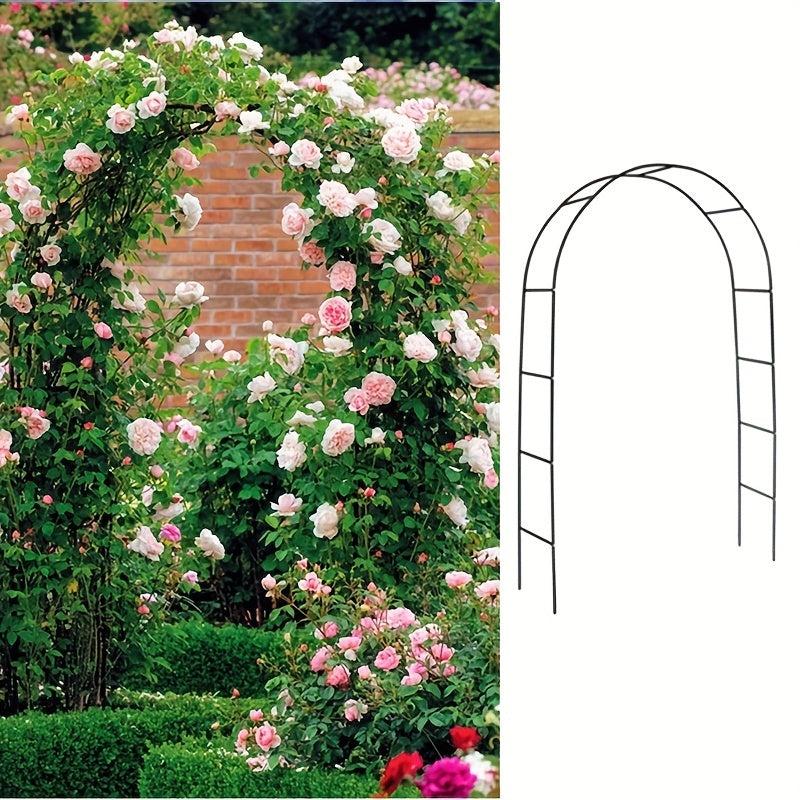 Iron Arch Flower Stand Rose Vine Moon Grape