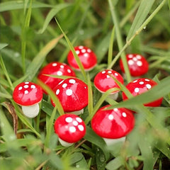 20pcs Mini Mushroom Artificial Garden Fairy Bonsai Plant Craft Decor Red