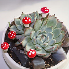 20pcs Mini Mushroom Artificial Garden Fairy Bonsai Plant Craft Decor Red