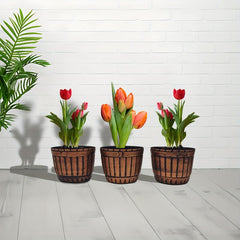 3pcs 17 cm Plant Pots Drainage Hole Plastic Planter Flower Pots Modern Decor