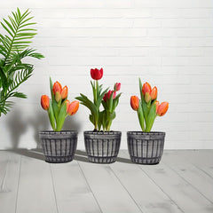 3pcs 17 cm Plant Pots Drainage Hole Plastic Planter Flower Pots Modern Decor
