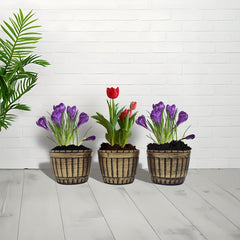 3pcs 17 cm Plant Pots Drainage Hole Plastic Planter Flower Pots Modern Decor