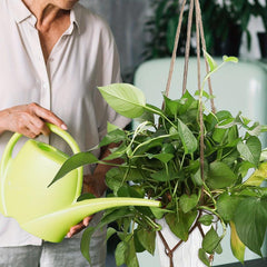 2pcs Greening Plant Hanger Flower Pot Basket 121 92 cm