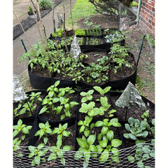 Fabric Raised Garden Bed 30x53 inches 4 Grids Raised Vegetable Bed